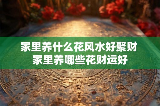 家里养什么花风水好聚财 家里养哪些花财运好