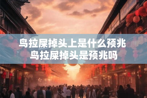 鸟拉屎掉头上是什么预兆 鸟拉屎掉头是预兆吗 鸟拉屎掉头上是什么预兆 鸟拉屎掉头是预兆吗