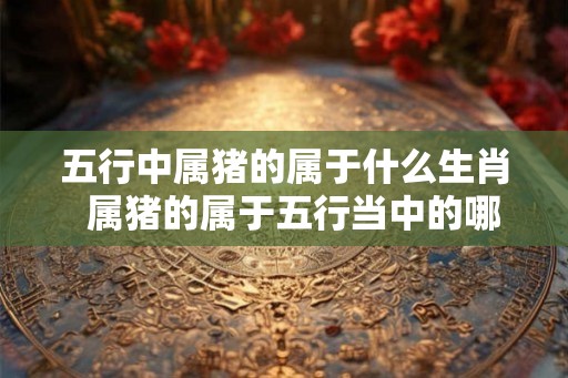 五行中属猪的属于什么生肖  属猪的属于五行当中的哪一类
