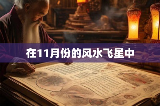 在11月份的风水飞星中 在11月份的风水飞星中