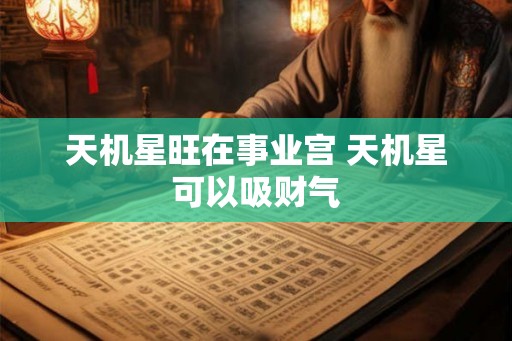 天机星旺在事业宫 天机星可以吸财气 天机星旺在事业宫 天机星可以吸财气