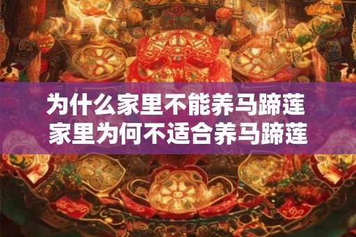 为什么家里不能养马蹄莲 家里为何不适合养马蹄莲