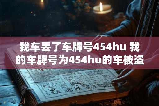 我车丢了车牌号454hu 我的车牌号为454hu的车被盗了吗