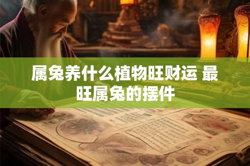 属兔养什么植物旺财运 最旺属兔的摆件
