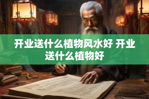 开业送什么植物风水好 开业送什么植物好