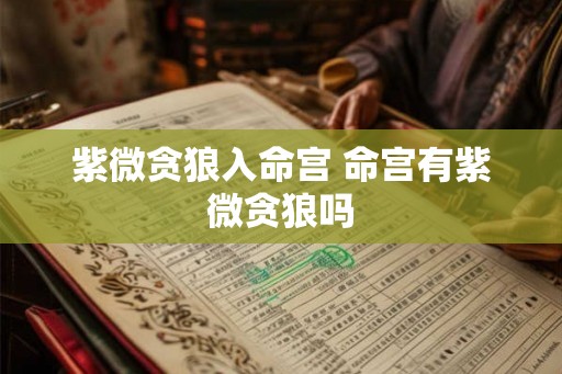 紫微贪狼入命宫 命宫有紫微贪狼吗