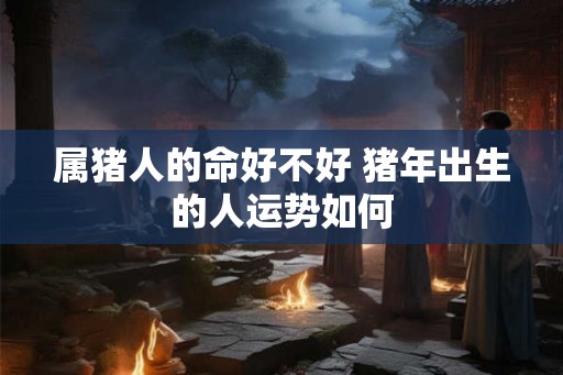 属猪人的命好不好 猪年出生的人运势如何