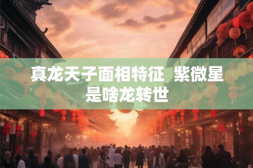 真龙天子面相特征  紫微星是啥龙转世