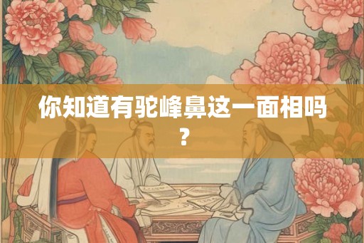 你知道有驼峰鼻这一面相吗? 你知道有驼峰鼻这一面相吗?