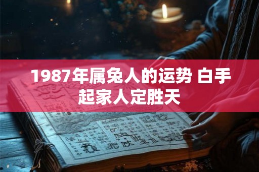 1987年属兔人的运势 白手起家人定胜天