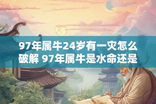 97年属牛24岁有一灾怎么破解 97年属牛是水命还是火命