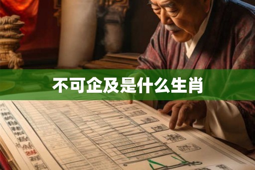 不可企及是什么生肖