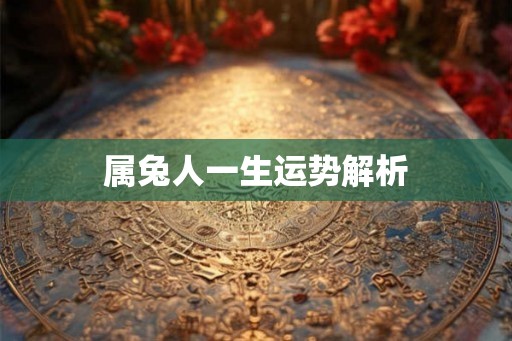 属兔人一生运势解析