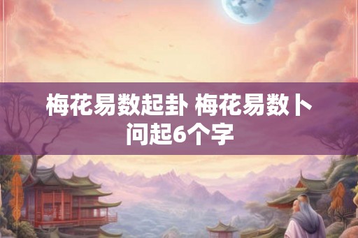 梅花易数起卦 梅花易数卜问起6个字