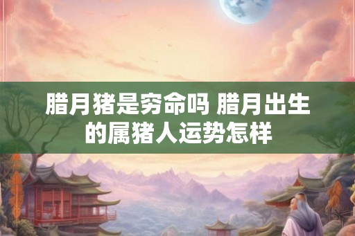 腊月猪是穷命吗 腊月出生的属猪人运势怎样