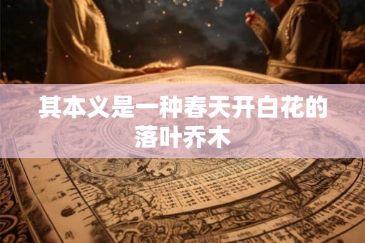 其本义是一种春天开白花的落叶乔木 其本义是一种春天开白花的落叶乔木