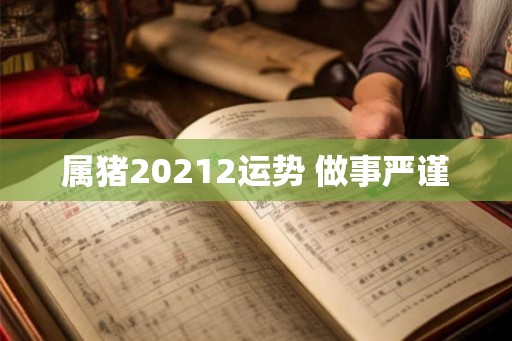 属猪20212运势 做事严谨