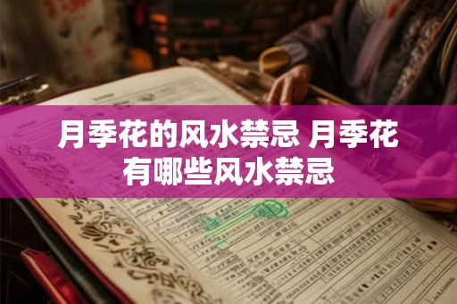 月季花的风水禁忌 月季花有哪些风水禁忌