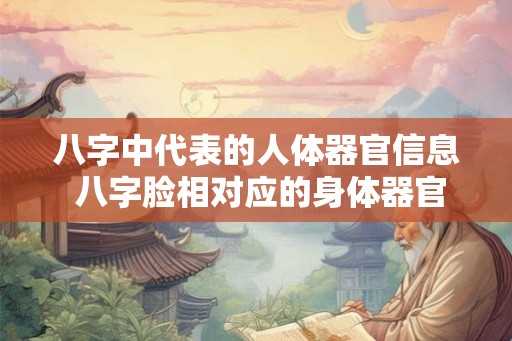 八字中代表的人体器官信息 八字脸相对应的身体器官