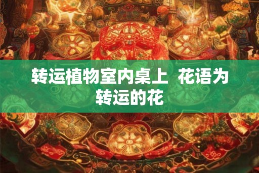 转运植物室内桌上  花语为转运的花