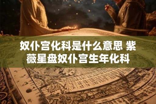 奴仆宫化科是什么意思 紫薇星盘奴仆宫生年化科