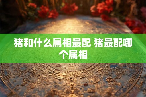 猪和什么属相最配 猪最配哪个属相 猪和什么属相最配 猪最配哪个属相