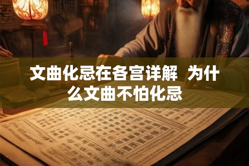 文曲化忌在各宫详解  为什么文曲不怕化忌