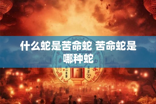 什么蛇是苦命蛇 苦命蛇是哪种蛇