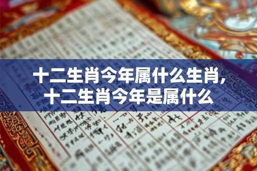 十二生肖今年属什么生肖,十二生肖今年是属什么