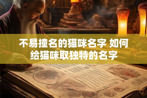 不易撞名的猫咪名字 如何给猫咪取独特的名字 不易撞名的猫咪名字 如何给猫咪取独特的名字