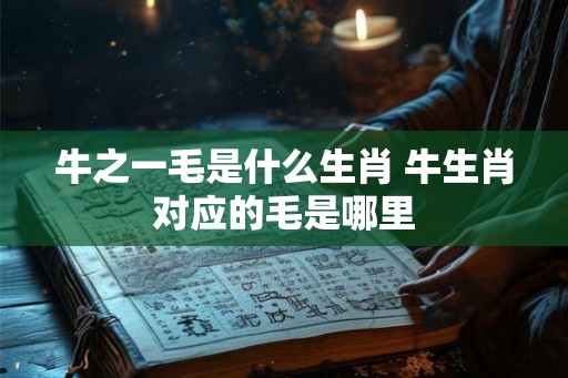 牛之一毛是什么生肖 牛生肖对应的毛是哪里