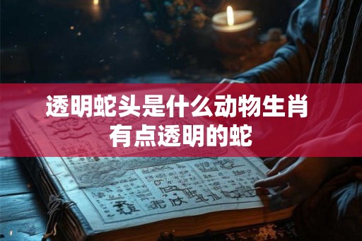 透明蛇头是什么动物生肖 有点透明的蛇