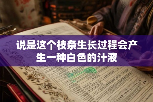 说是这个枝条生长过程会产生一种白色的汁液