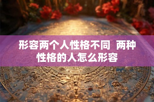 形容两个人性格不同  两种性格的人怎么形容