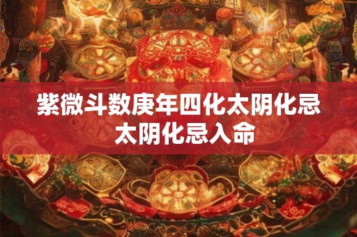 紫微斗数庚年四化太阴化忌  太阴化忌入命