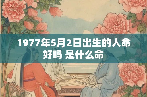 1977年5月2日出生的人命好吗 是什么命