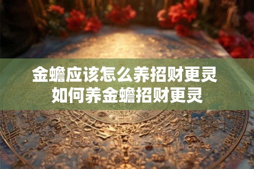 金蟾应该怎么养招财更灵 如何养金蟾招财更灵