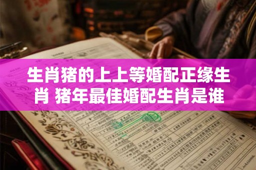 生肖猪的上上等婚配正缘生肖 猪年最佳婚配生肖是谁 生肖猪的上上等婚配正缘生肖 猪年最佳婚配生肖是谁