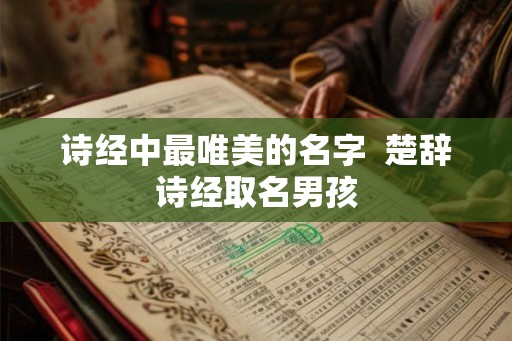 诗经中最唯美的名字  楚辞诗经取名男孩