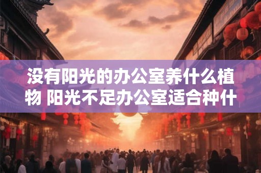 没有阳光的办公室养什么植物 阳光不足办公室适合种什么植物