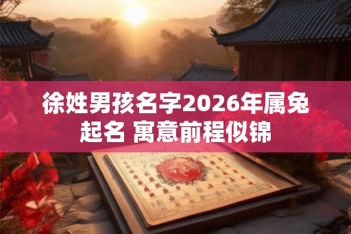 徐姓男孩名字2026年属兔起名 寓意前程似锦 徐姓男孩名字2026年属兔起名 寓意前程似锦