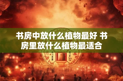 书房中放什么植物最好 书房里放什么植物最适合
