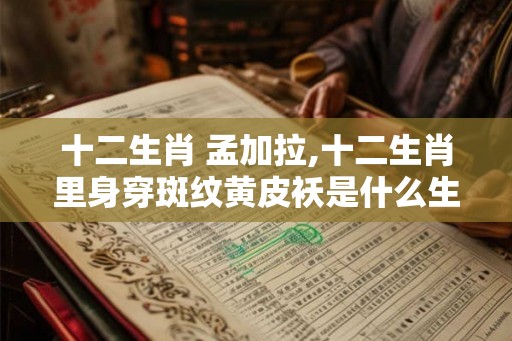 十二生肖 孟加拉,十二生肖里身穿斑纹黄皮袄是什么生肖