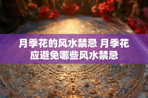 月季花的风水禁忌 月季花应避免哪些风水禁忌