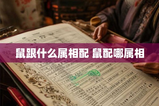 鼠跟什么属相配 鼠配哪属相