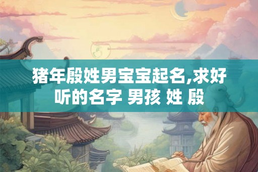 猪年殷姓男宝宝起名,求好听的名字 男孩 姓 殷