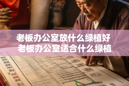 老板办公室放什么绿植好 老板办公室适合什么绿植 老板办公室放什么绿植好 老板办公室适合什么绿植