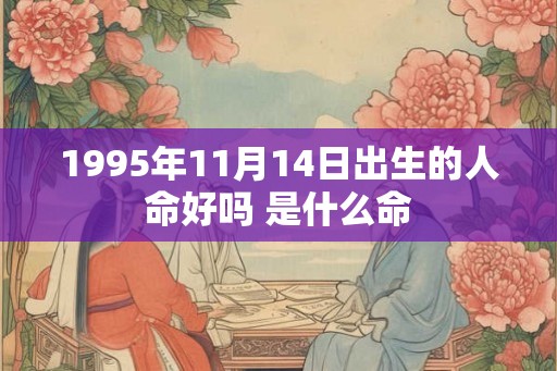 1995年11月14日出生的人命好吗 是什么命