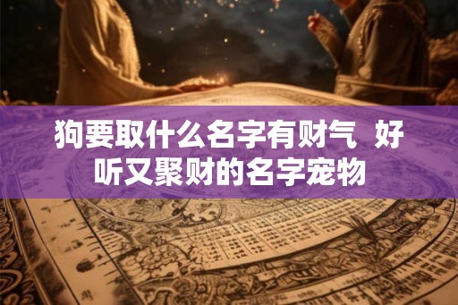 狗要取什么名字有财气  好听又聚财的名字宠物