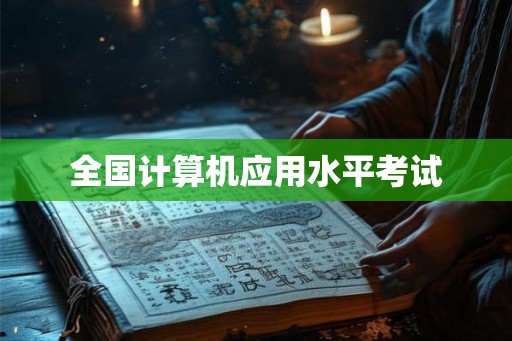 全国计算机应用水平考试